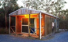 Discovery Parks - Cradle Mountain Accommodation